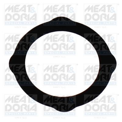 Gasket, EGR valve